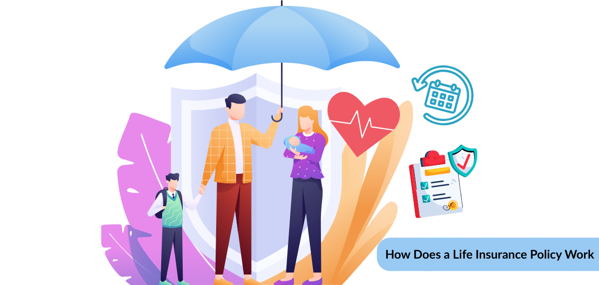 Life Insurance Illustration